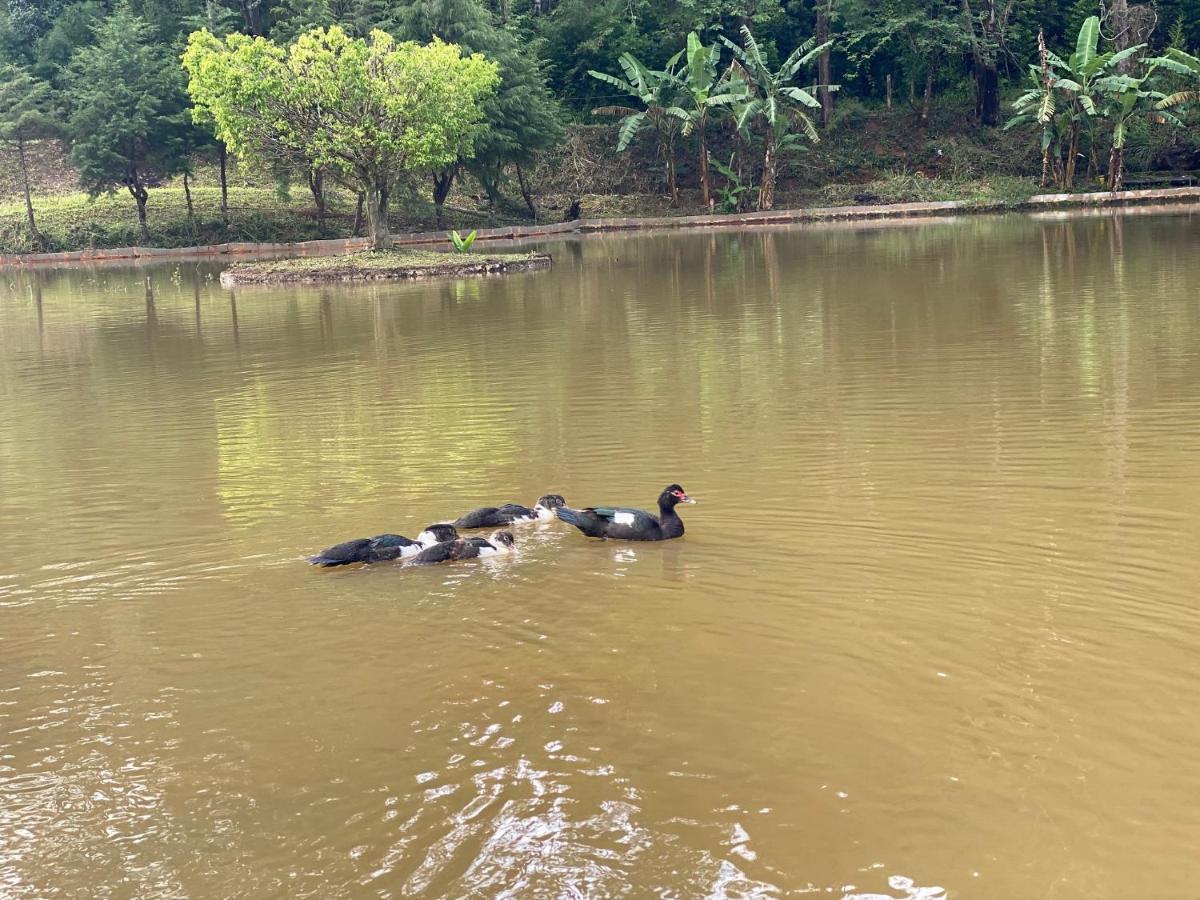 Hotel Fazenda Bonanza Engenheiro Paulo de Frontin Bagian luar foto
