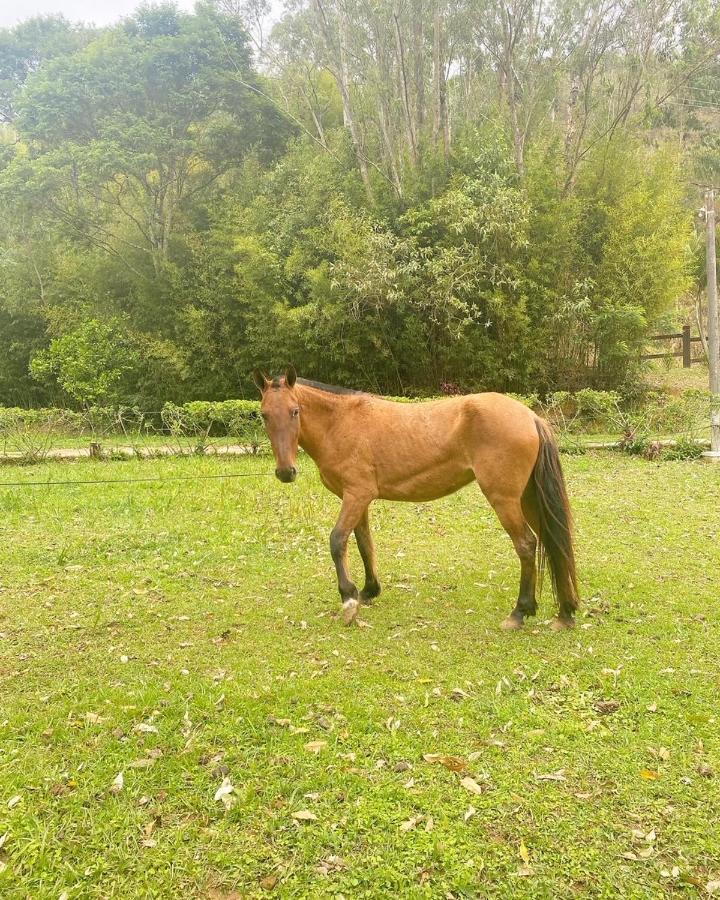 Hotel Fazenda Bonanza Engenheiro Paulo de Frontin Bagian luar foto