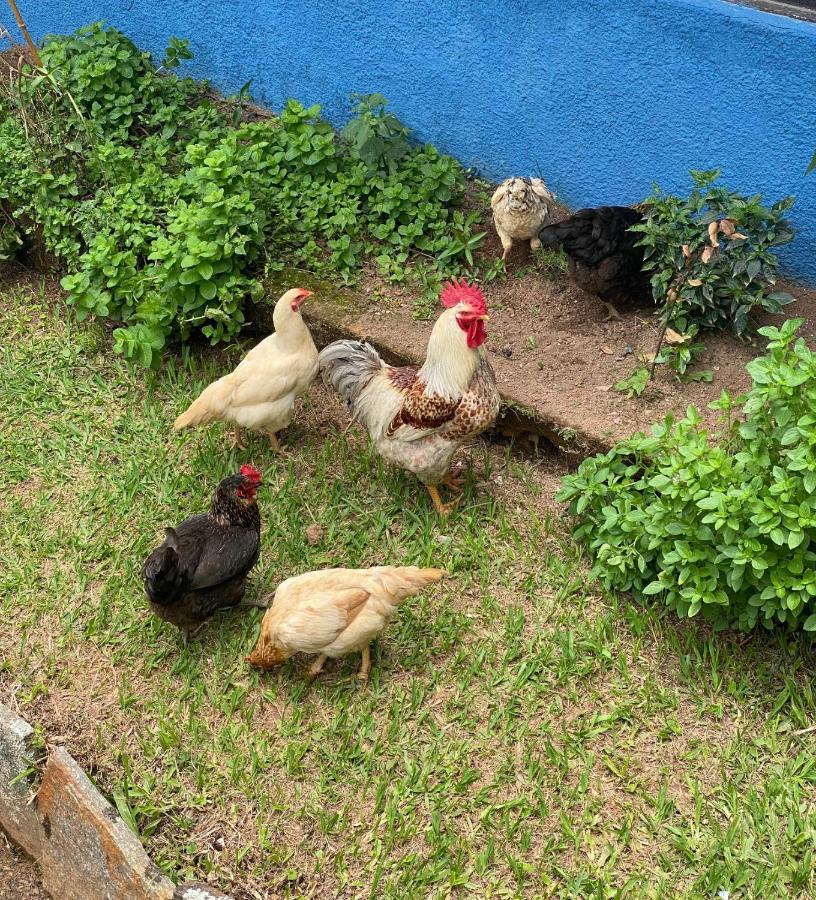 Hotel Fazenda Bonanza Engenheiro Paulo de Frontin Bagian luar foto