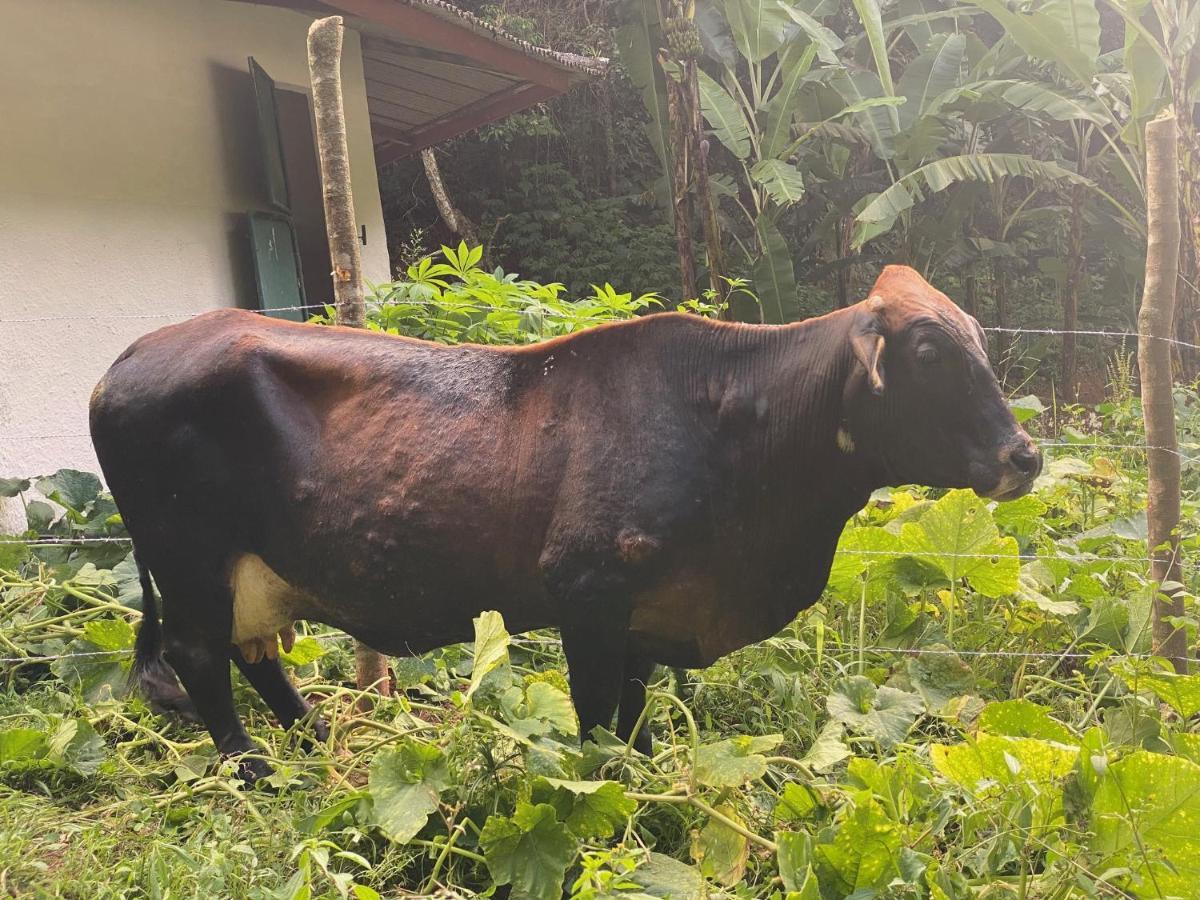 Hotel Fazenda Bonanza Engenheiro Paulo de Frontin Bagian luar foto